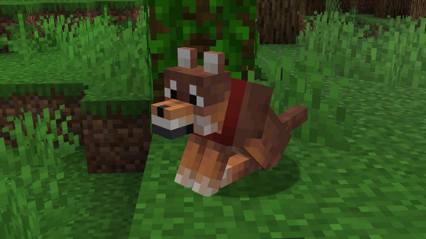 Minecraft: All Wolf Types and Their Locations